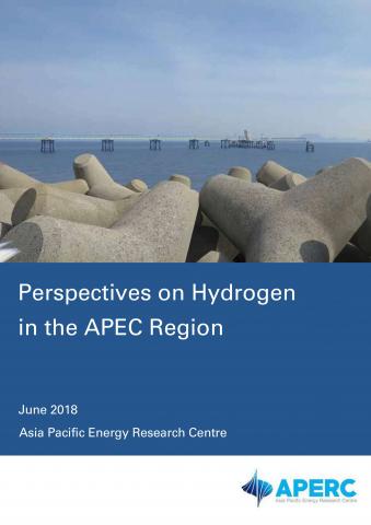 Perspectives on Hydrogen in the APEC Region